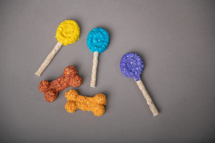 Studio shot of a variety and colorful biscuits or snack for dogs.