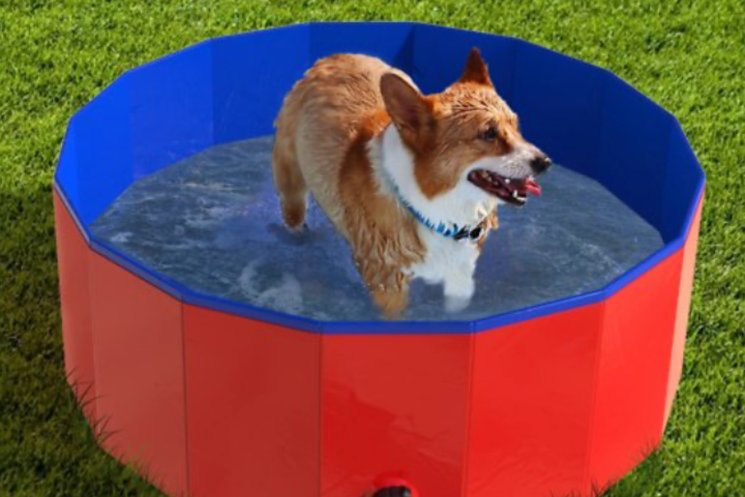 Pet adobe pool 