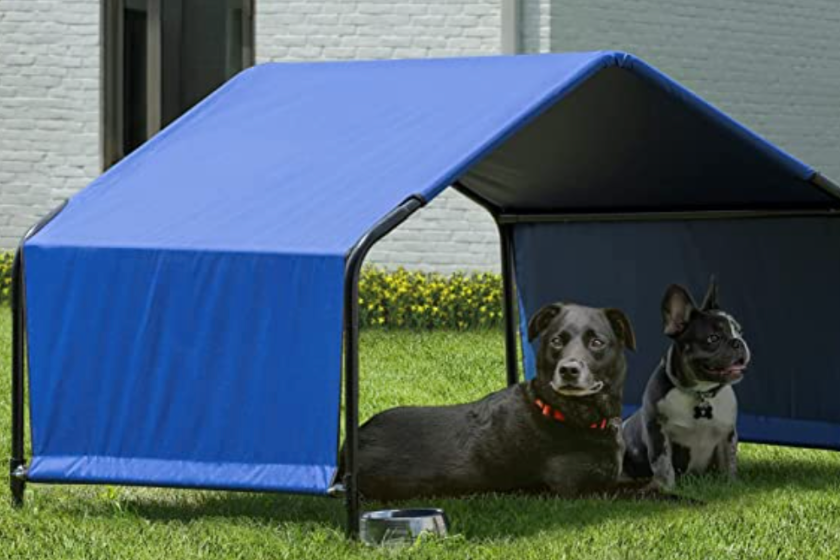 Dog Shade Shelter