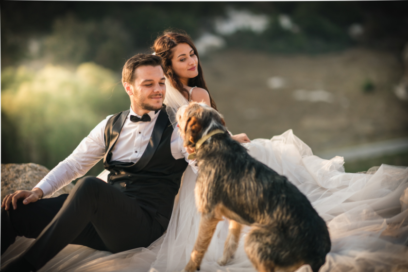 dog sits with wedding couple