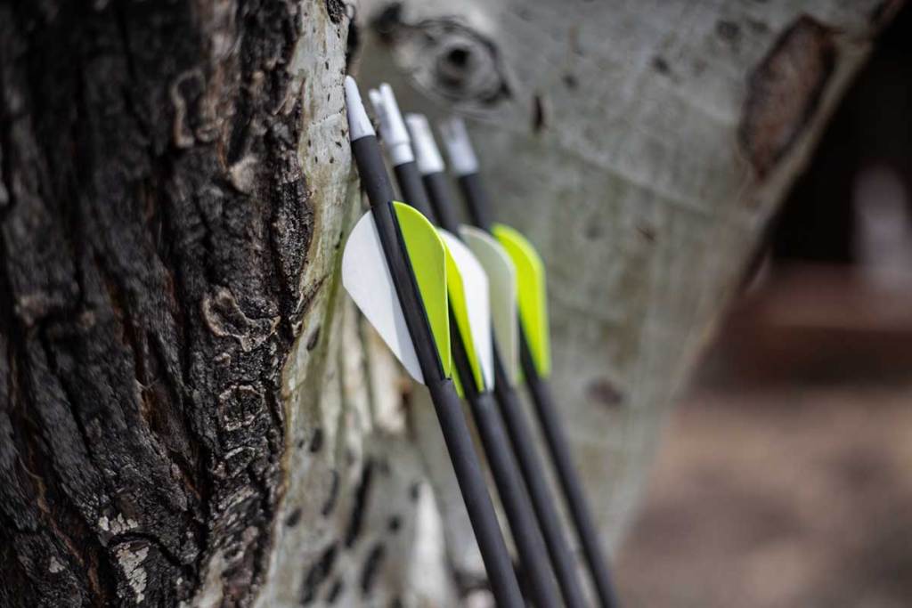 Archery arrows leaning against a tree