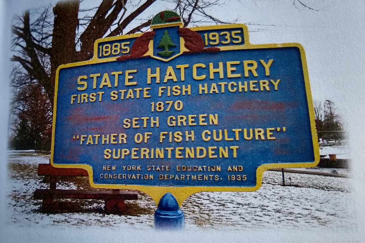 NY fish hatcheries