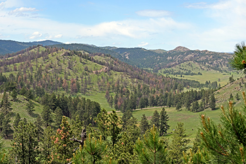 National Park Crowds