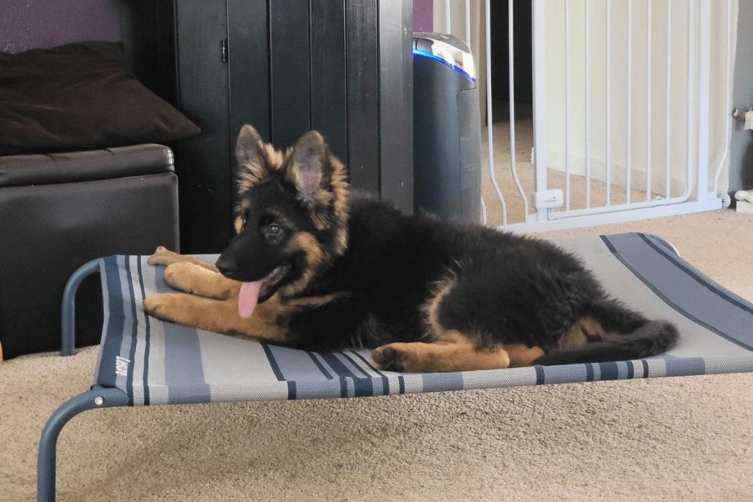 Shep cooling mat outlet reviews