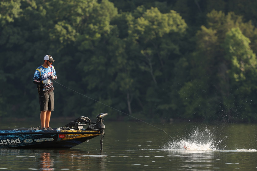 lake pickwick