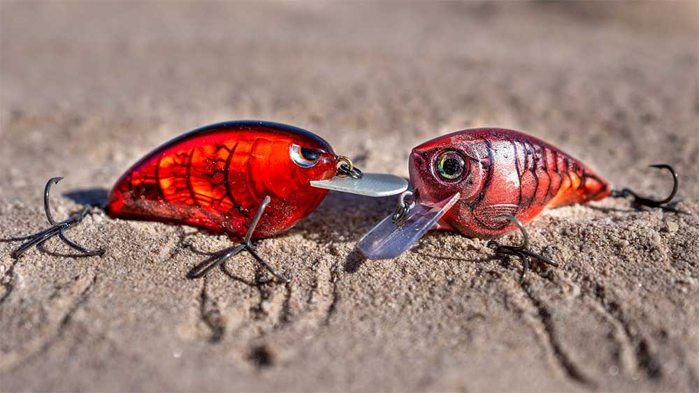 best baits for spawning bass