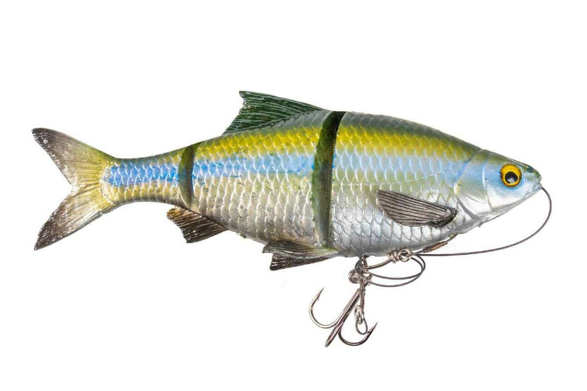 Swimbaits