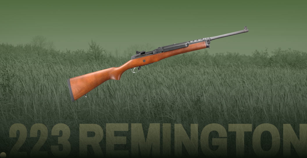 Best .243 Remington rifles