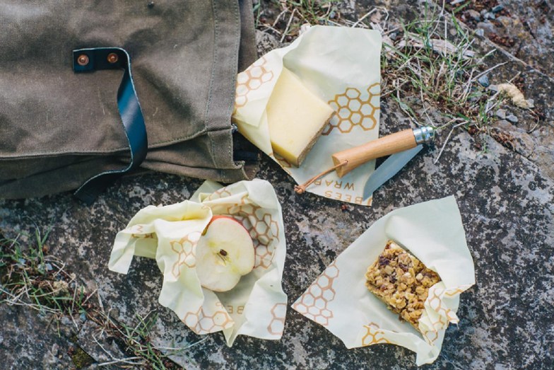 The Best Solutions for Food Storage for Camping
