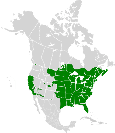 Range map of Golden shiner (Notemigonus crysoleucas).