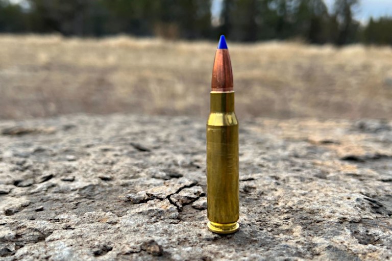 .3006 vs .308 What Makes Each Cartridge Unique