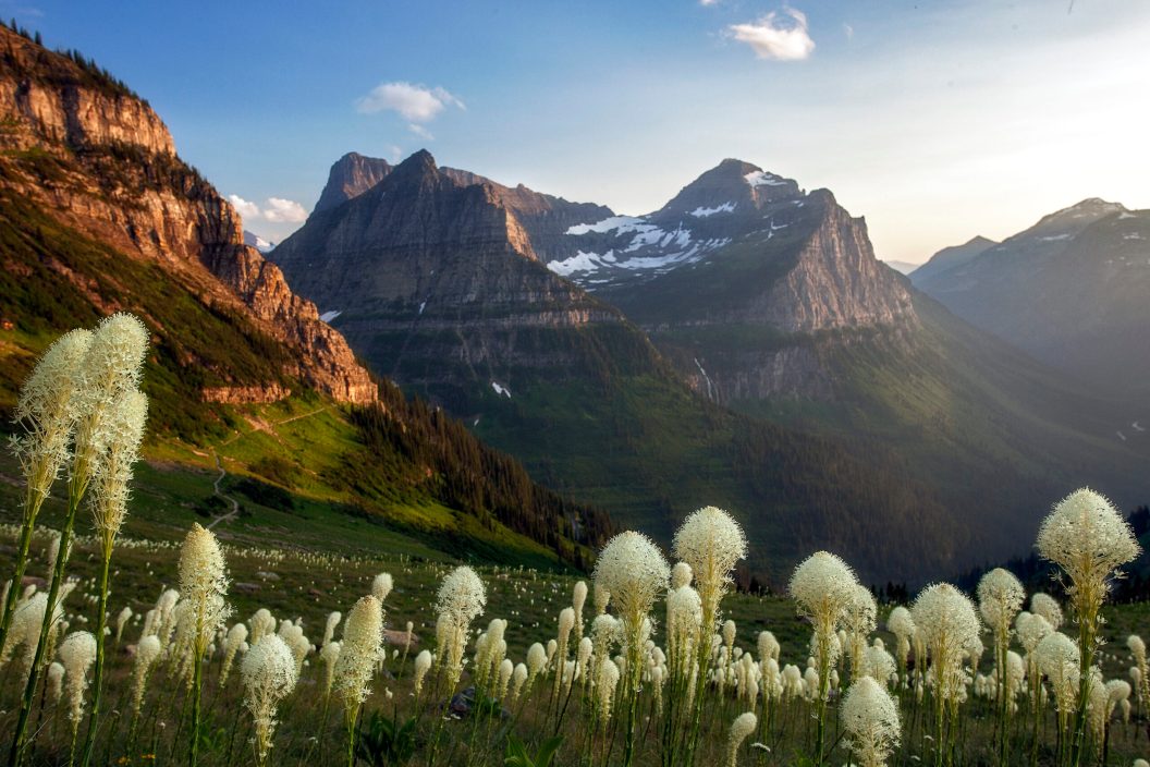 The golden hour bathes all in delicate light along this beautiful stretch of the Highline Trail near Logan Pass in Glacier National Park, Montana