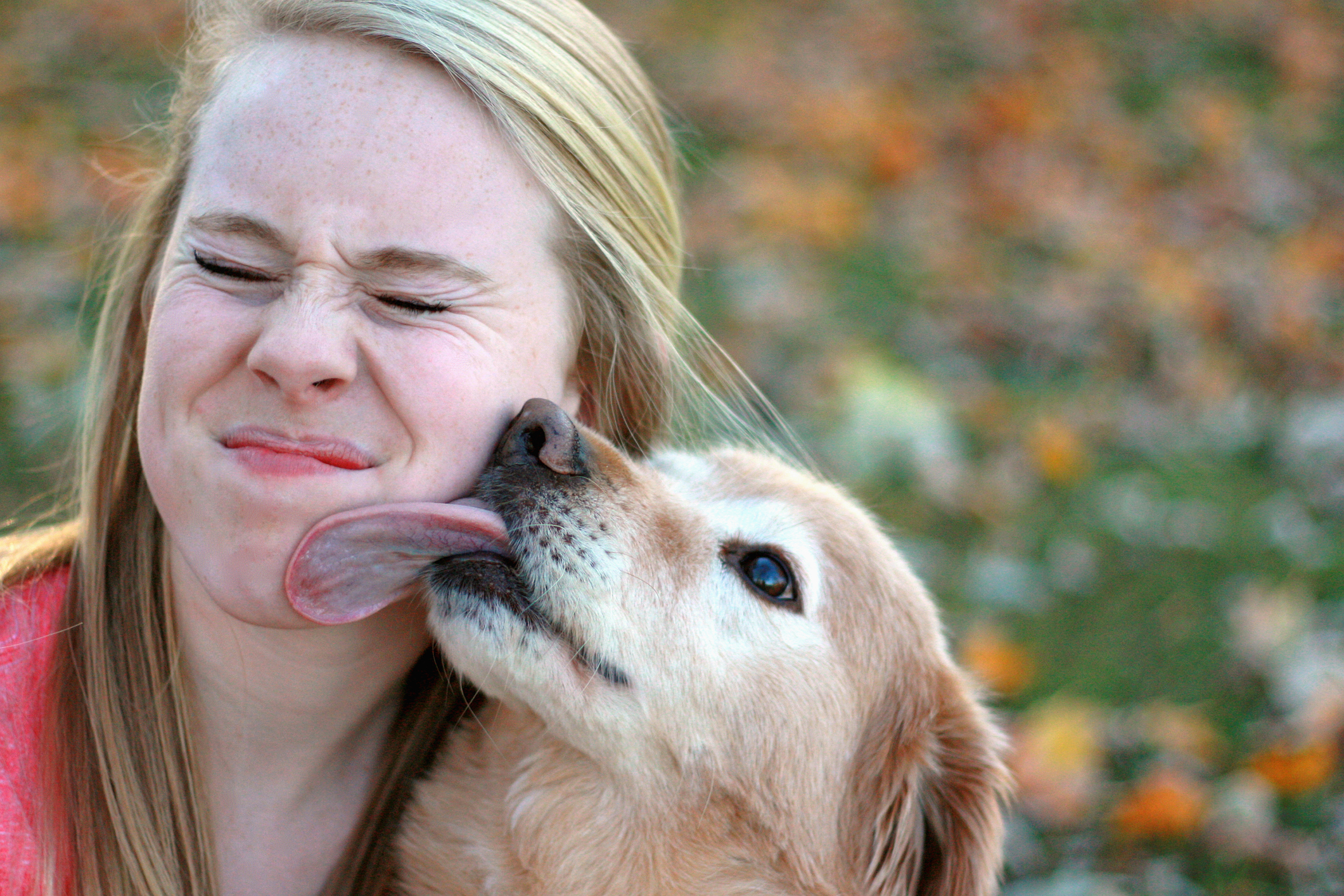 dog giving kisses