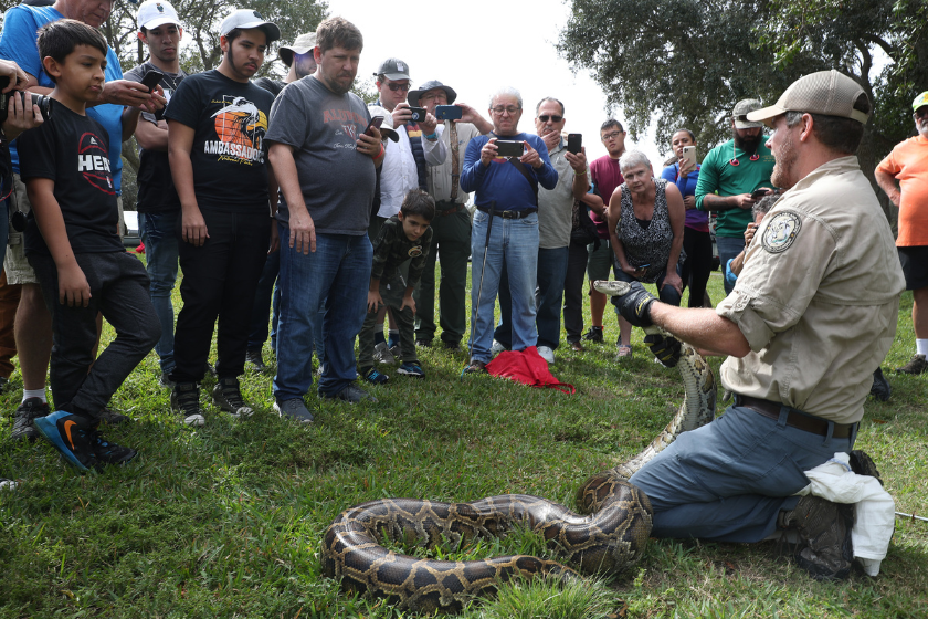 Robert Edman, with the Florida Fish and Wildlife Conservation Commission, gives a python-catching demonstration before potential snake hunters at the start of the Python Bowl 2020 on January 10, 2020 in Sunrise, Florida.