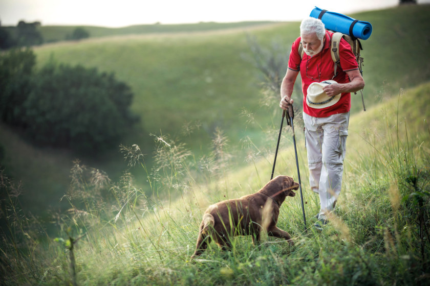 Senior man hiking while and dog follows him