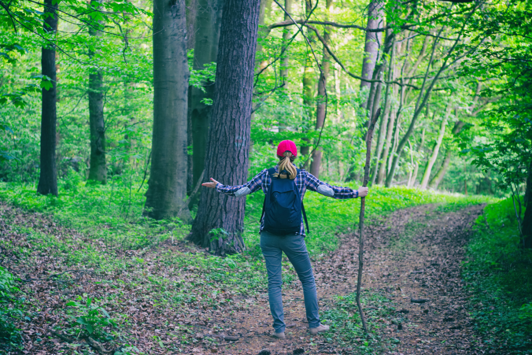 Young hiking woman does not know which way to go in green forest. A tourist girl lost herself on a hiking trip.