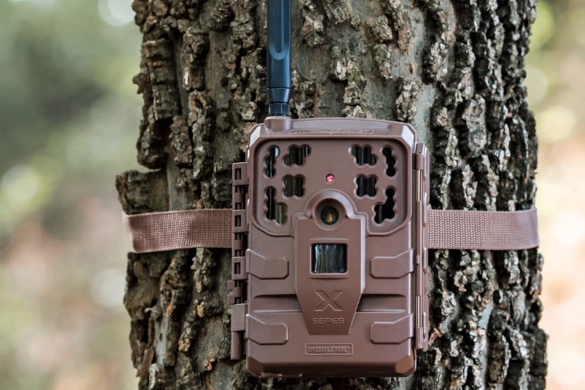 Cellular Trail Cameras