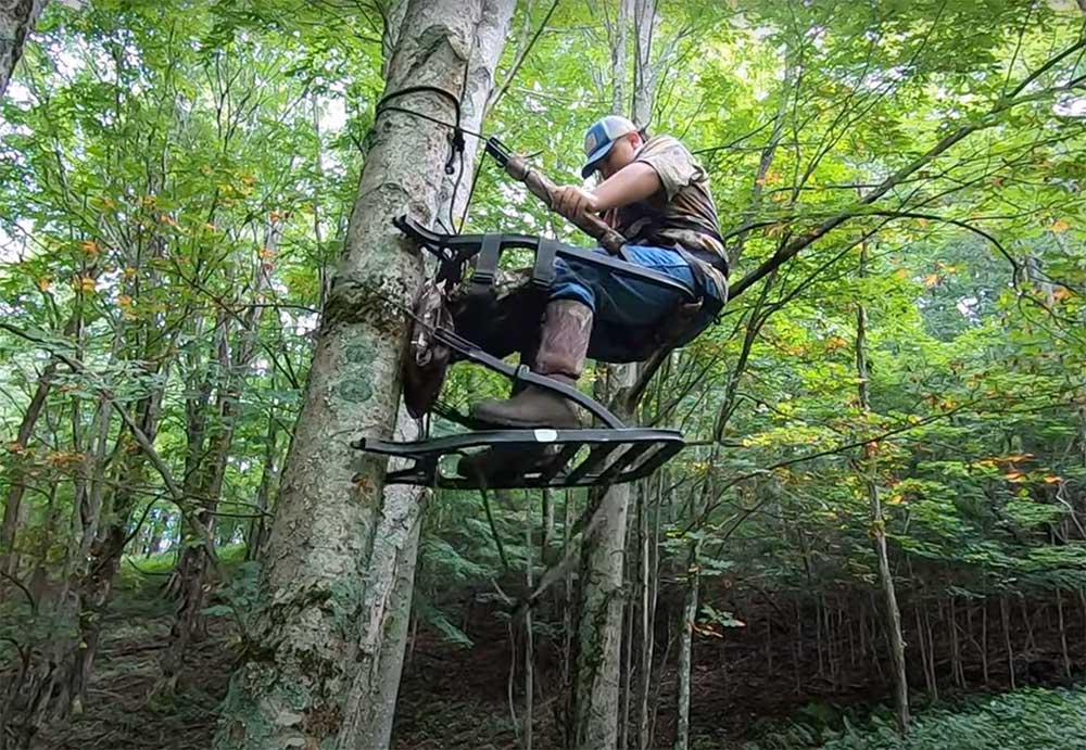 A hunter sets up a climbing treestand in the woods
