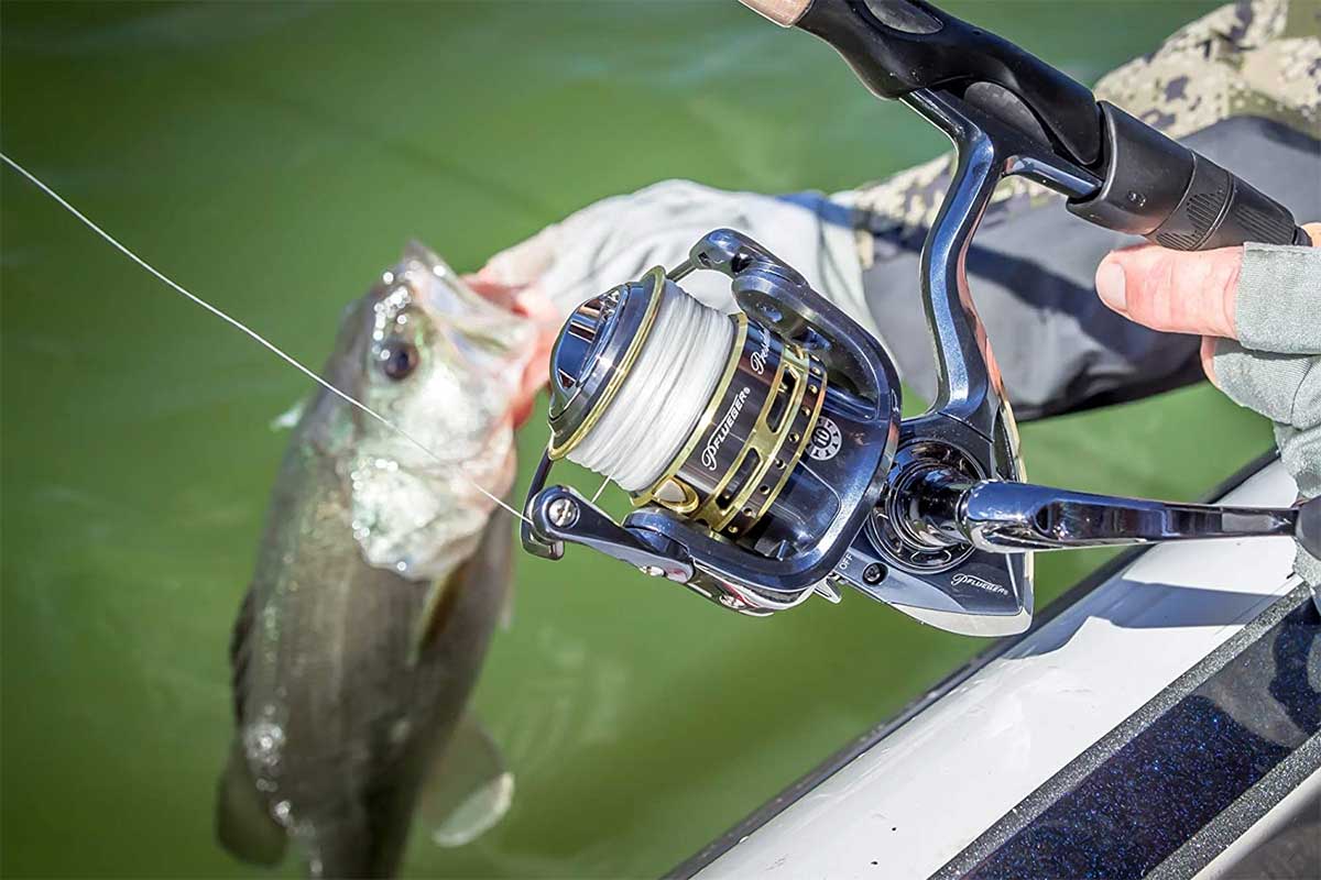 4 Rod and Reel Picks for Beginner Female Anglers - Wide Open Spaces