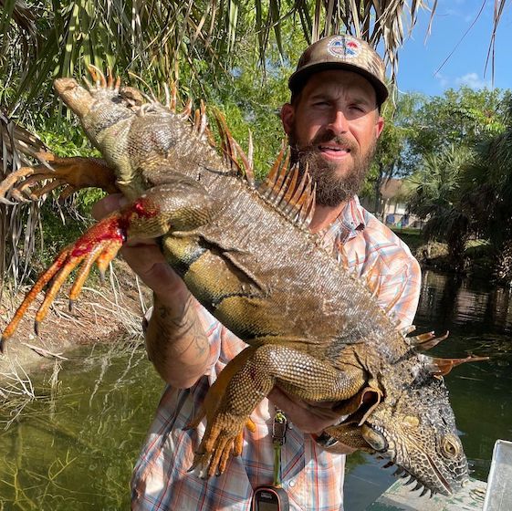 man holds up dead iguana