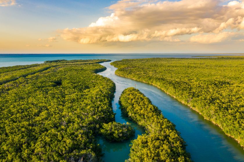 Everglades National Park in Florida is one of the best national parks in the usa for saltwater fishing.