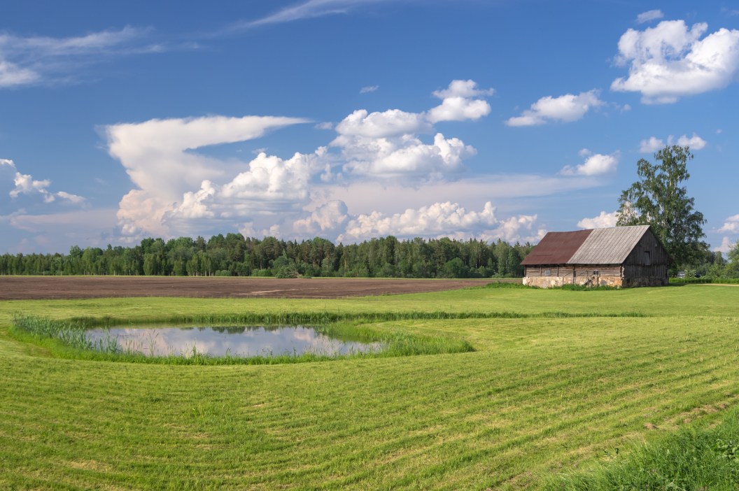 Rural landscape with green and brown fields, blue pond in the middle and beautiful white clouds in the sky. Old countryside house on the right side. Forest on the horizon in the background