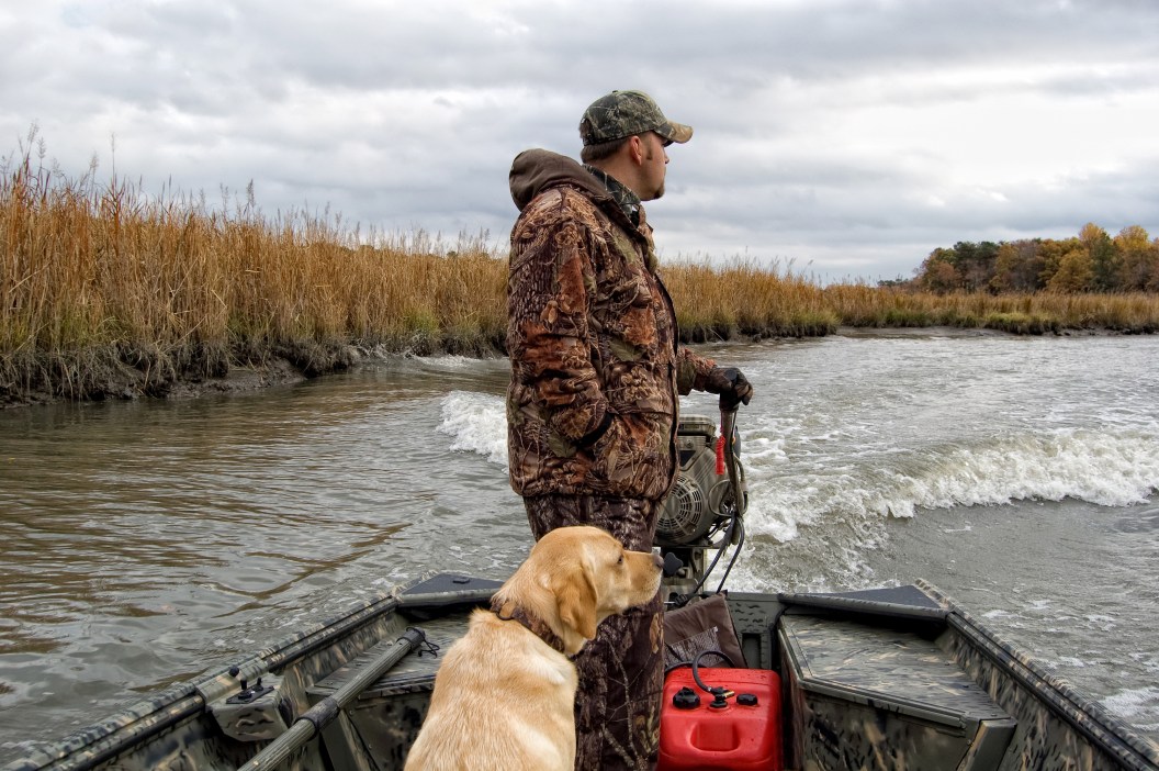 Duck hunting on the river with golden labrador
