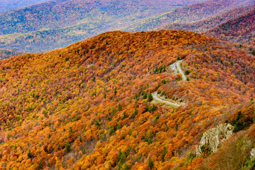 Skyline drive through the colorful autumn forest of Shenandoah National Park, Virginia