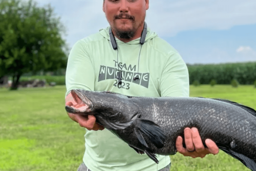 Snakehead Fish: The Invasive Species and Its Spreading Range