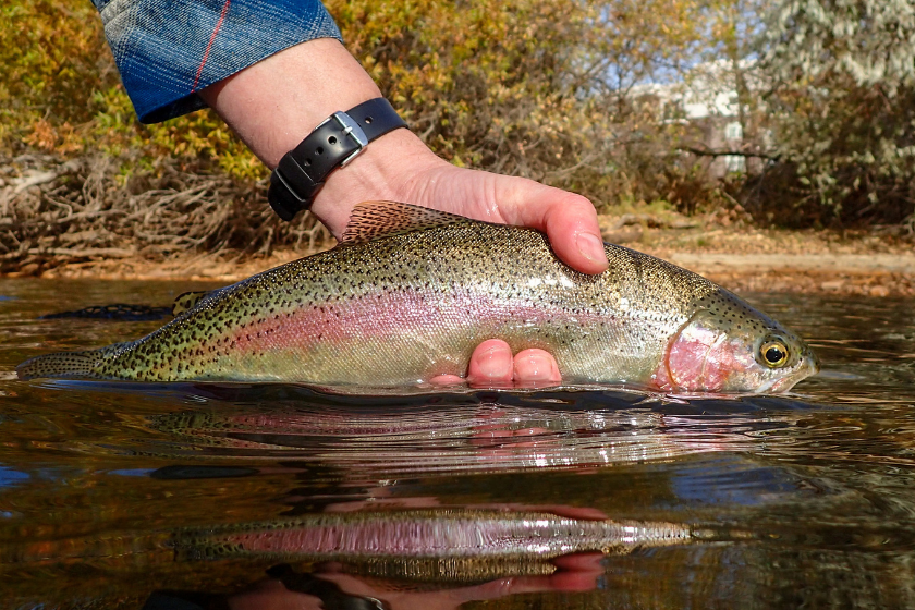 fun beginner fishing techniques