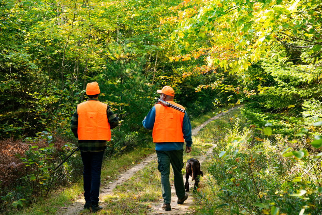 two people walking with hunting orange