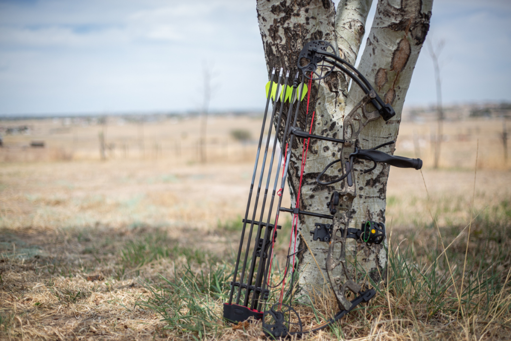 bow leaning against tree