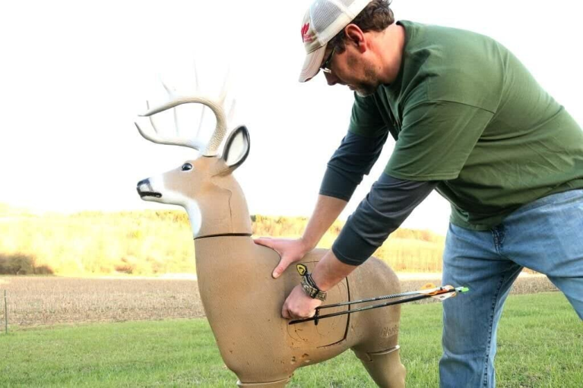 GlenDel Pre-Rut Buck 3D