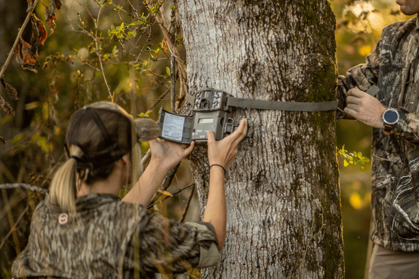 Cellular vs. Standard Trail Cams UseCase Scenarios for Each
