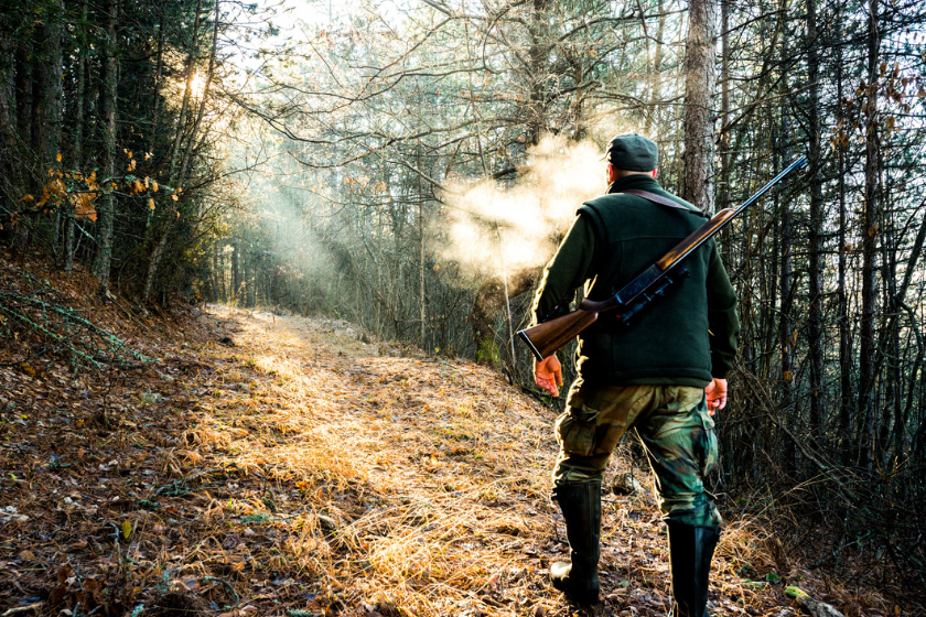 Hunter with rifle viewed from behind while walking uphill towards the sunlight that breaches through the trees.