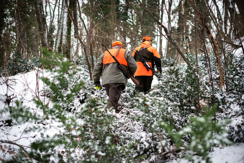 Two hunters in the forest with rifles searching for the prey.