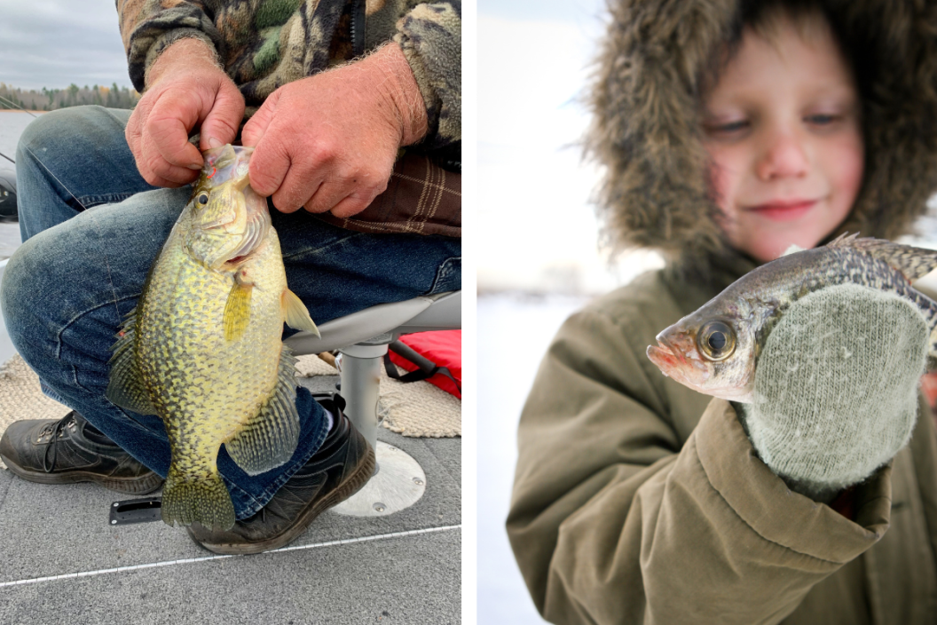 LEFT: Fisherman unhooking a Crappie while sitting in a boat. RIGHT: Black Crappie caught through the ice on a cold day by a kid.