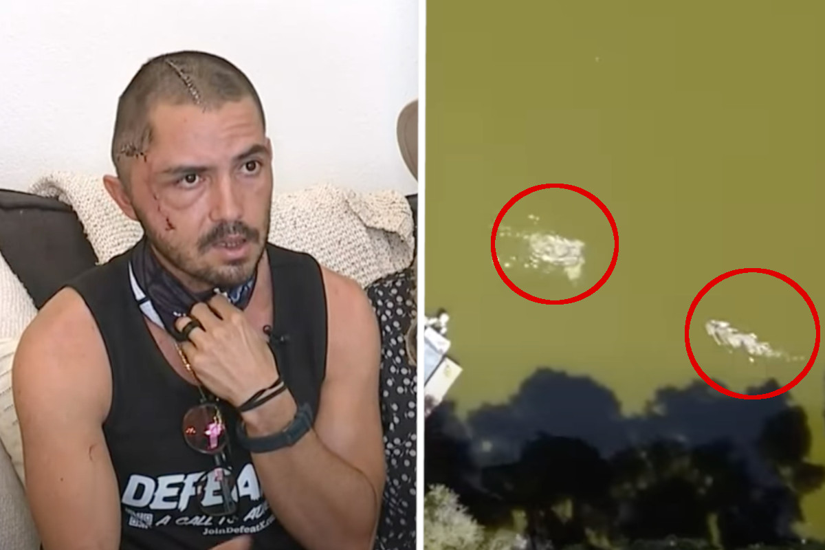 Alligator Attack Caught By Drone