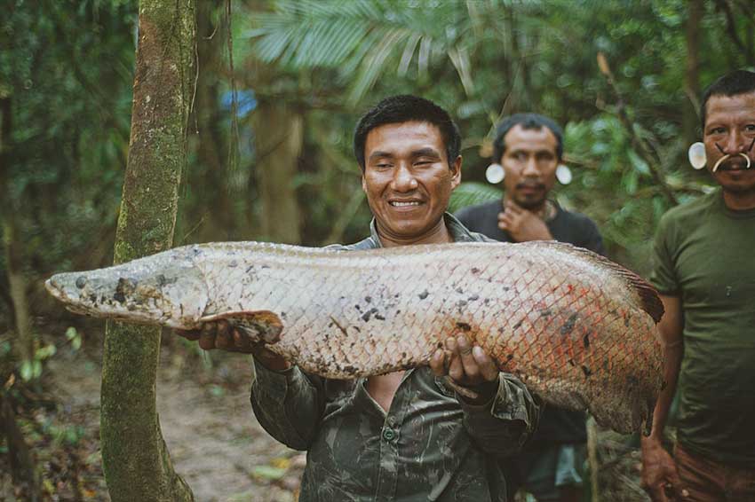 4 Native Fish to Catch in Their Native Territories