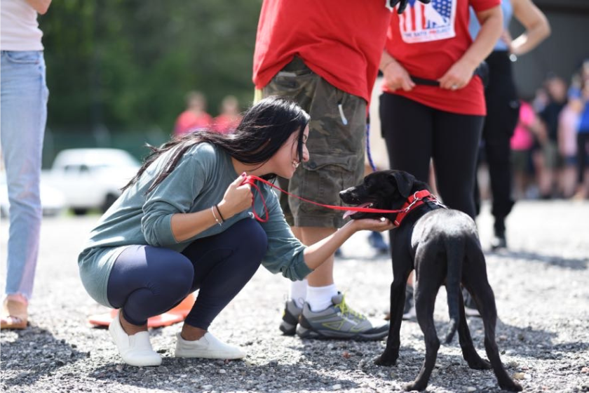 woman meets with rescue dogs