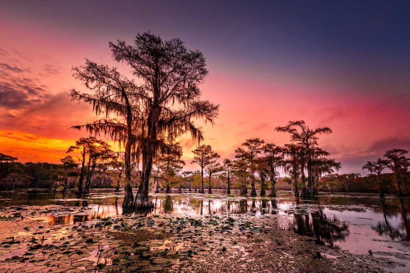 Sunset at Caddo Lake State Park in Texas