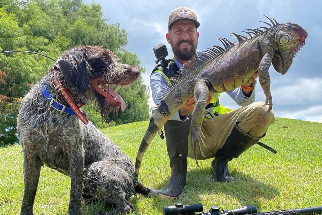 Mike Kimmel, Florida iguana hunter, poses with a harvest and his dog
