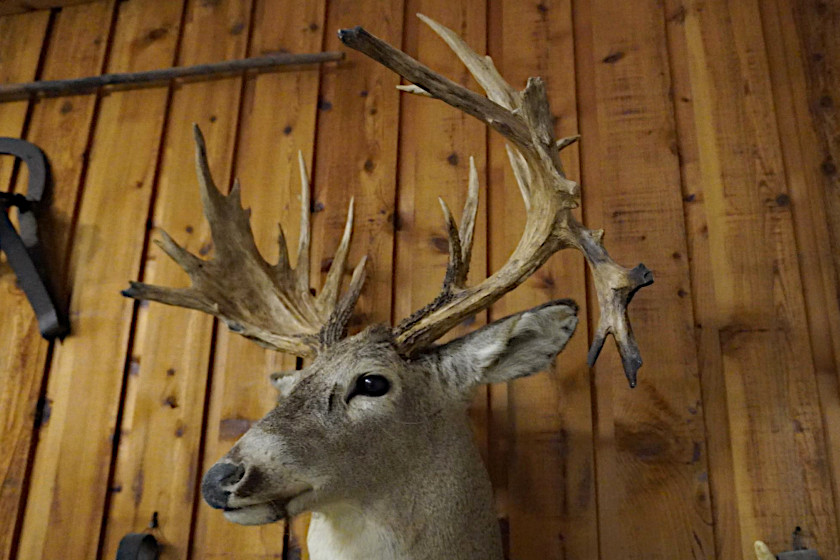 Hill Gould Buck