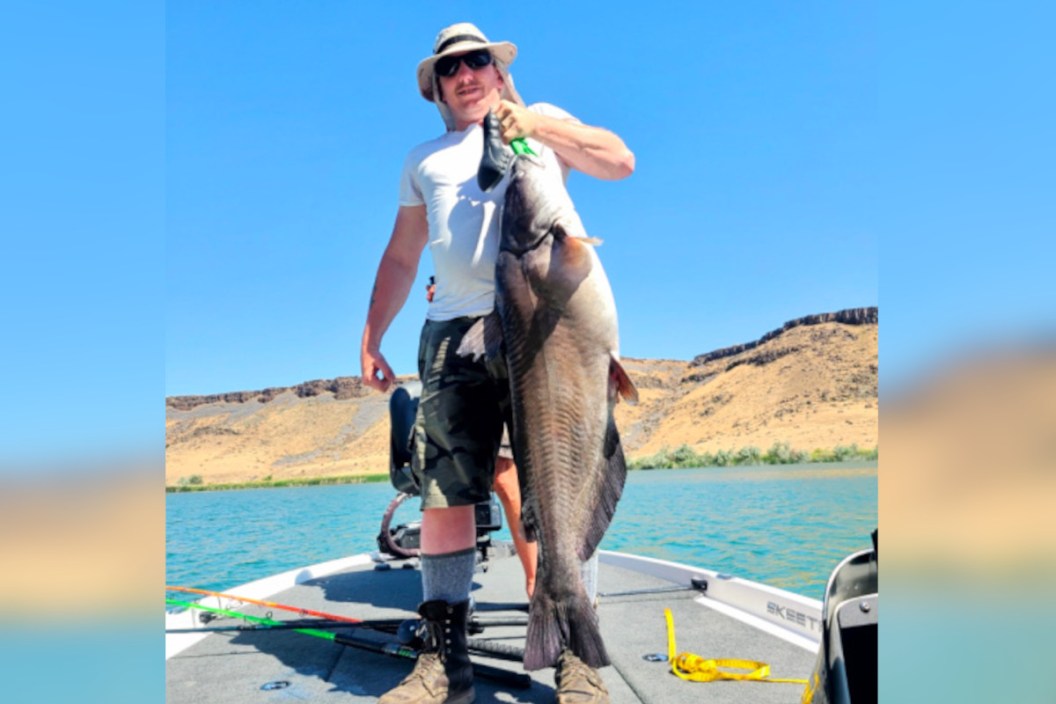 Idaho Channel Catfish Record