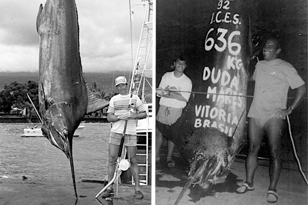 World Record Blue Marlin