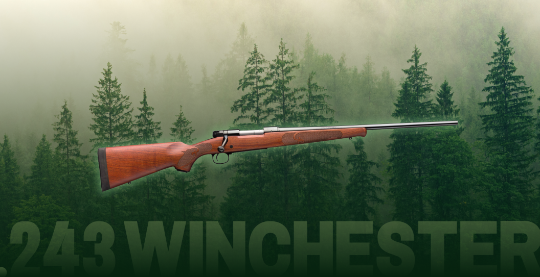 Best .243 Winchester Rifle