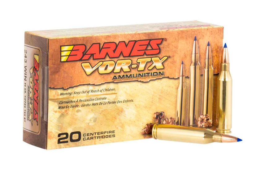 .243 Ammo