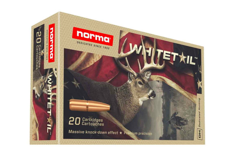 243 Ammo