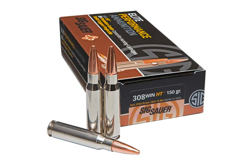 308 Ammo