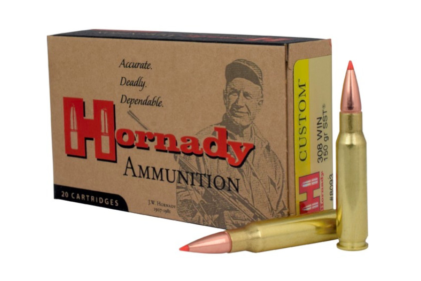 308 Ammo